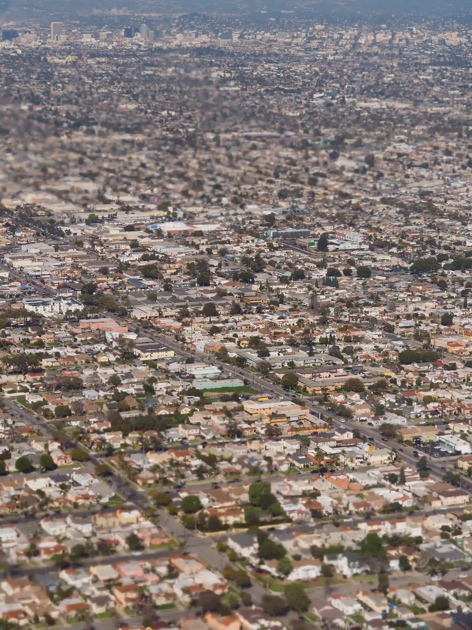 A sea of detached, single family homes, arranged in perfectly rectangular blocks.