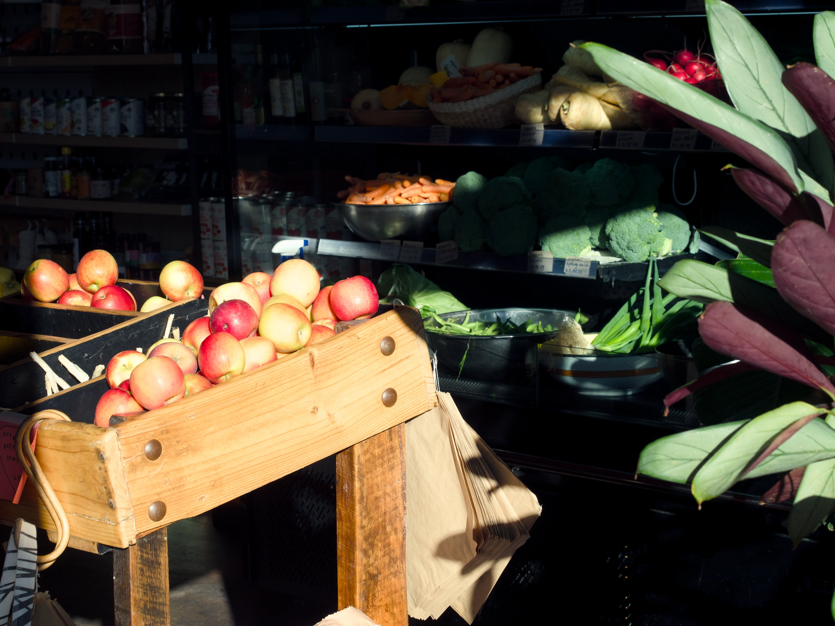 Apple, broccoli, carrots, green beans arranged on shelves in a shop, the low sunlight highlighting parts of the shelves while others are left in the shade.