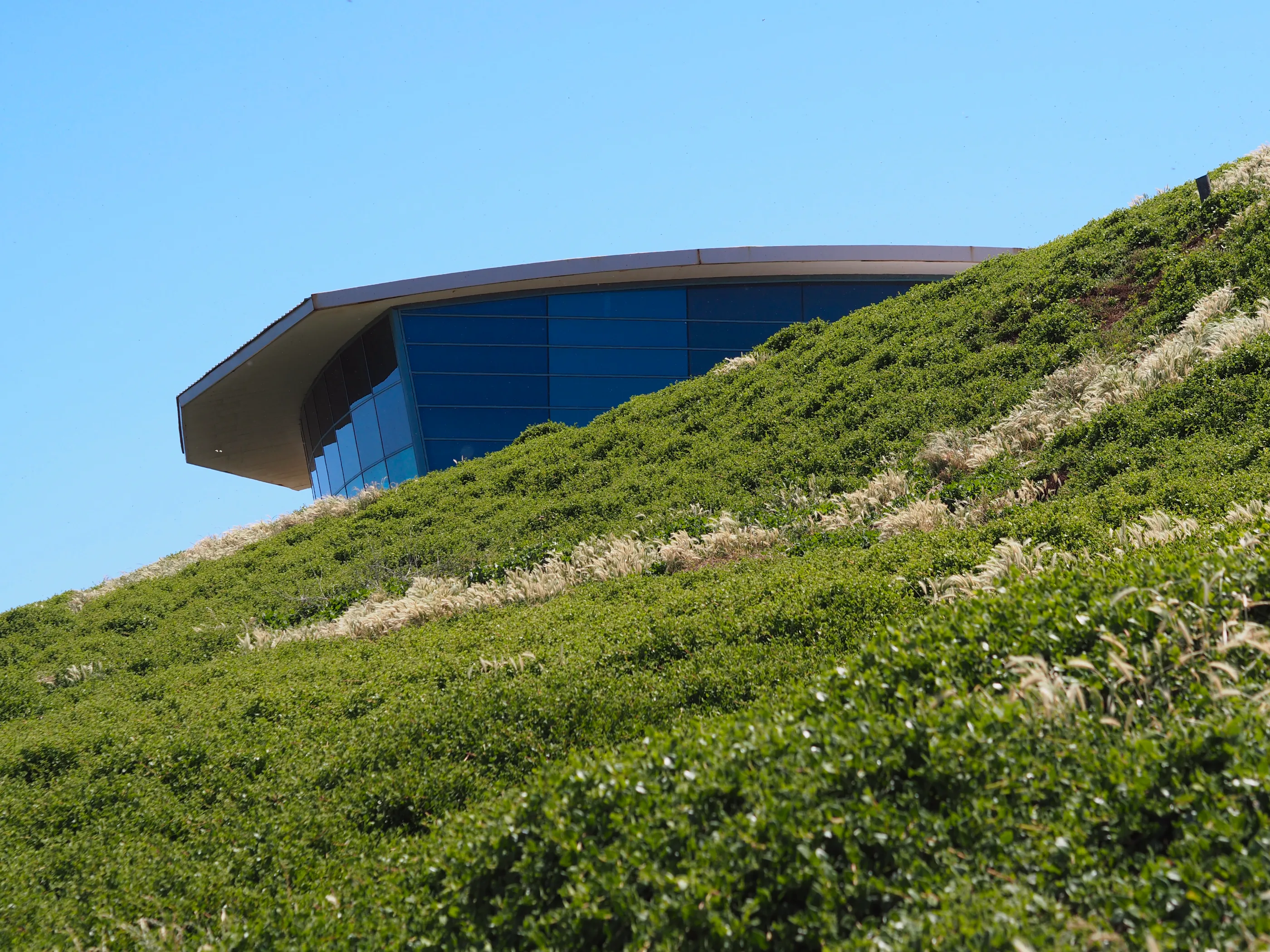 A moderist building with a glass front is blocked by a canopy-covered running across the picture from the top-right to the bottom-left corner.